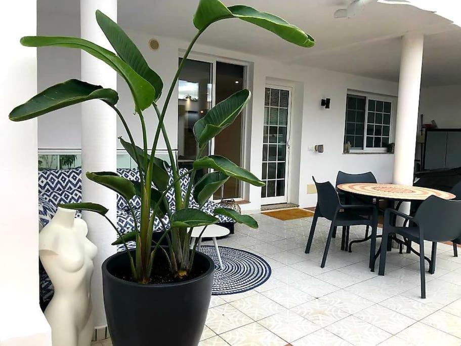 Pura Vida Strandnahes Ferienappartment In Bester Lage! Пуерто-де-ла-Крус Екстер'єр фото